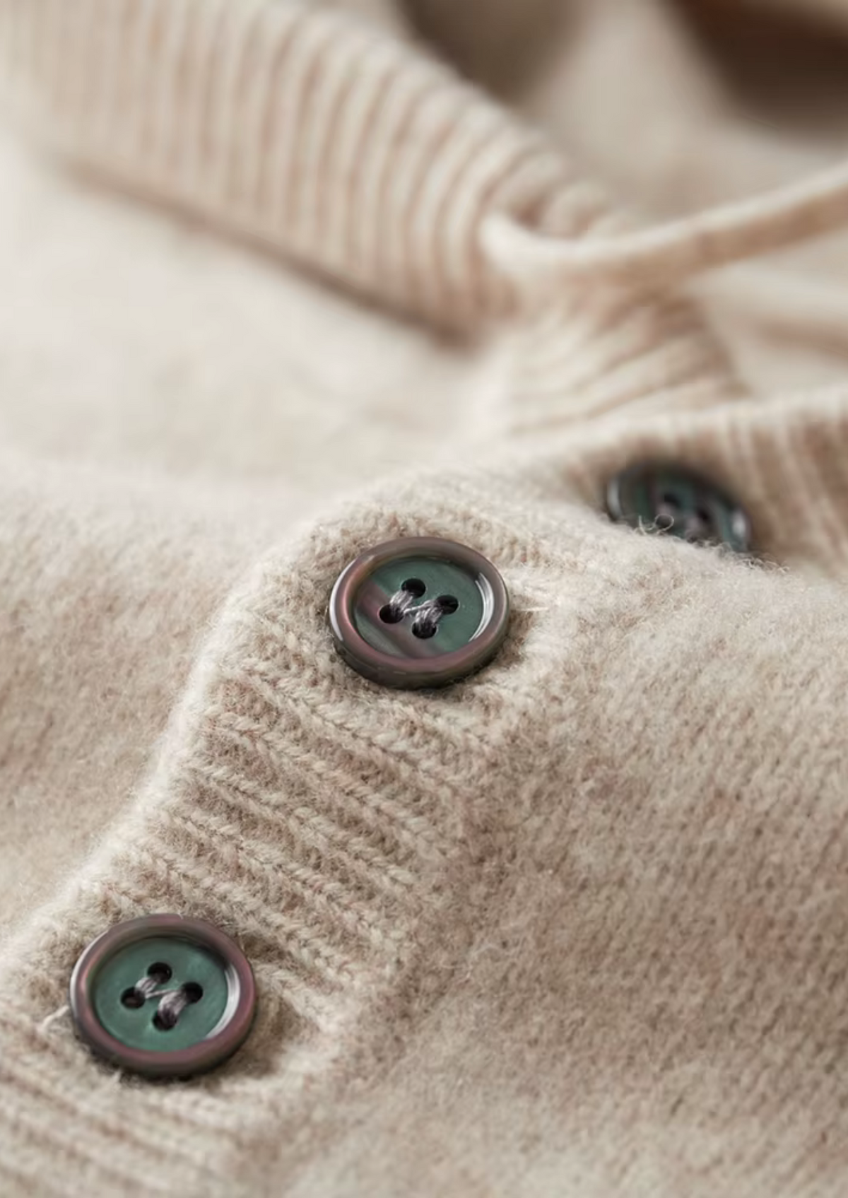 Cavallo WOOL BUTTON HOODIE