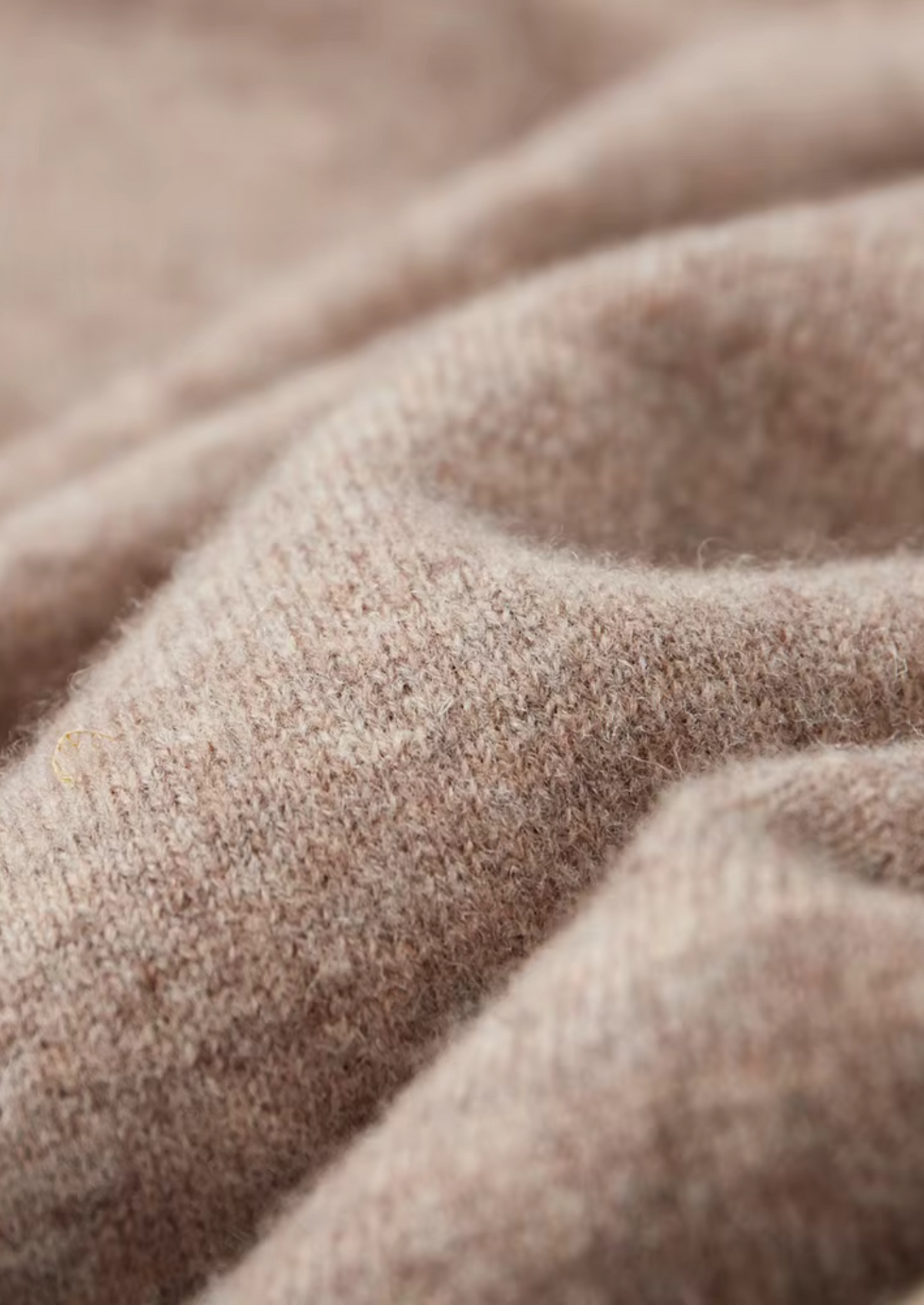 CAVALLO  WOOL LEISURE HOODIE